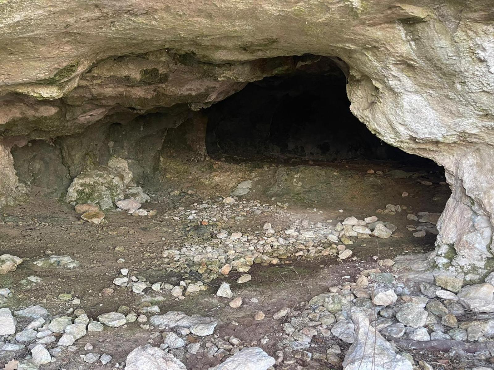 La Torretta - Incantevole Appartamento Nei Colli Berici Nanto Exterior foto