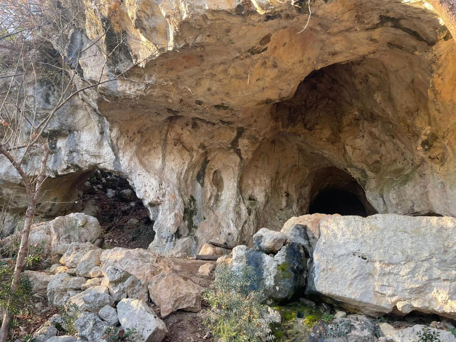 La Torretta - Incantevole Appartamento Nei Colli Berici Nanto Exterior foto