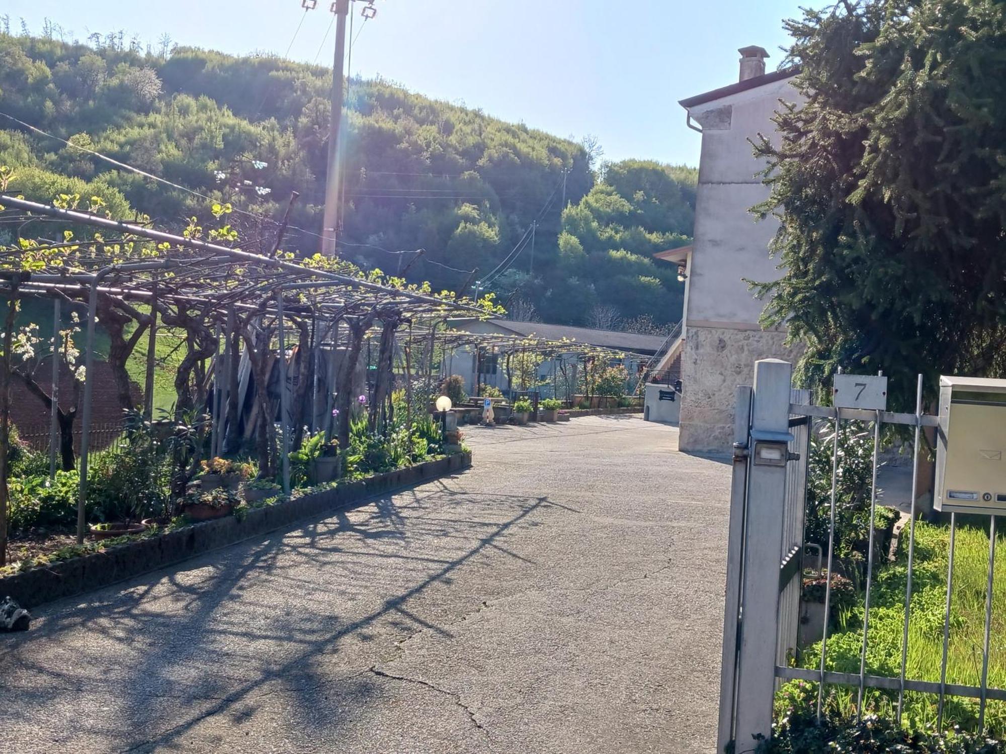 La Torretta - Incantevole Appartamento Nei Colli Berici Nanto Exterior foto